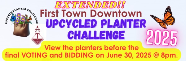Upcycled Planter Challenge