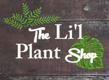The Li'l Plant Shop II - Windsor