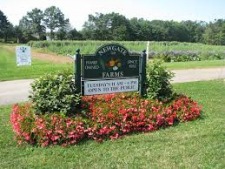Newgate Farms CSA