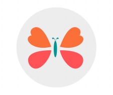 Sponsor Windsor Center Butterfly Habitat