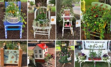 Upcycled Planter Challenge and Windsor Monarch Festival