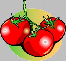 55+ Tomato Growing Contest