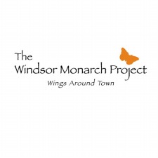 The Windsor Monarch Project