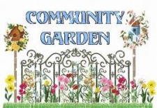 Community Garden rentals at Northwest Park
